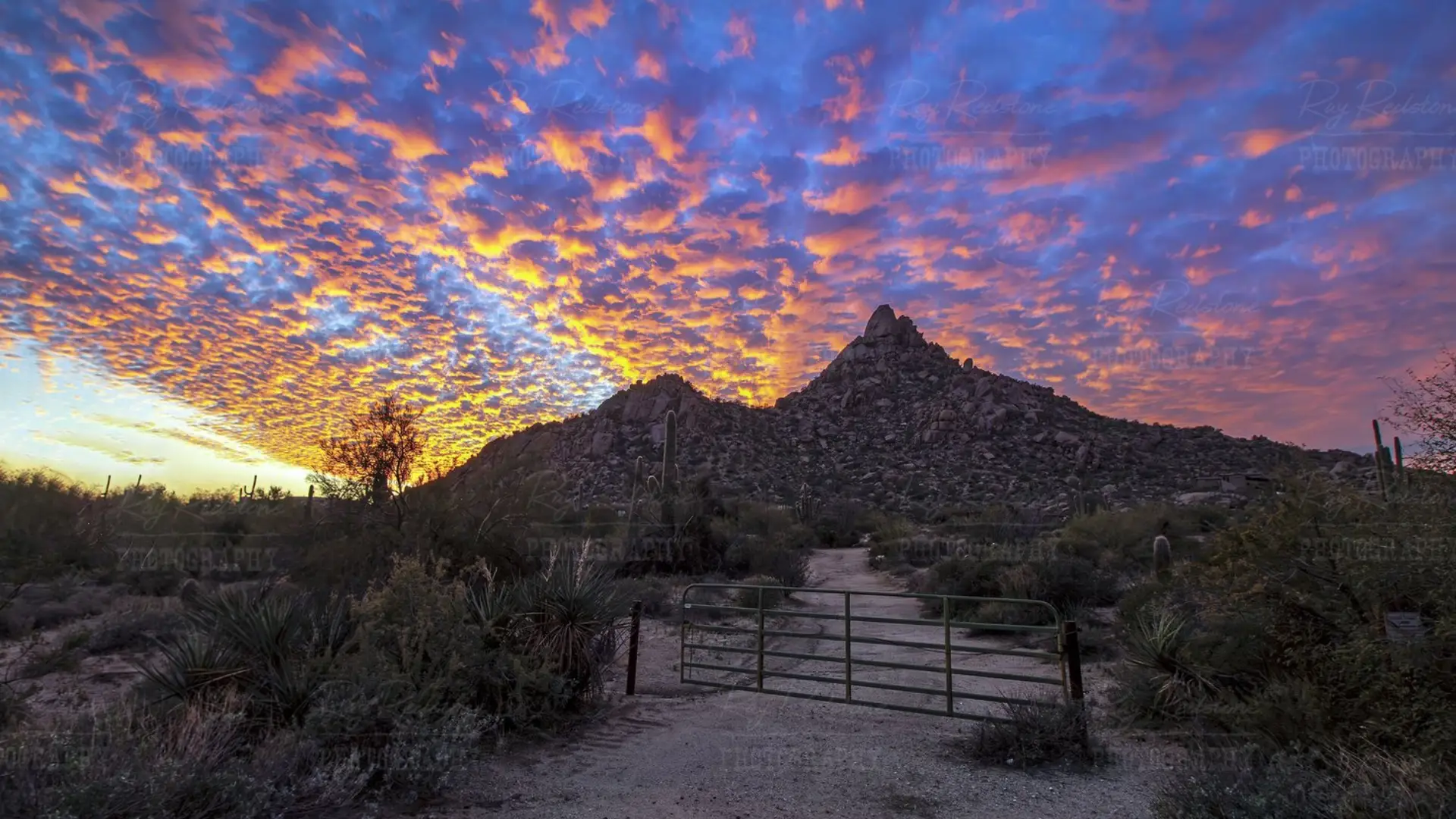 Discover Breathtaking Views and Scenic Hikes at Pinnacle Peak Park: A Natural Gem in Scottsdale, AZ
