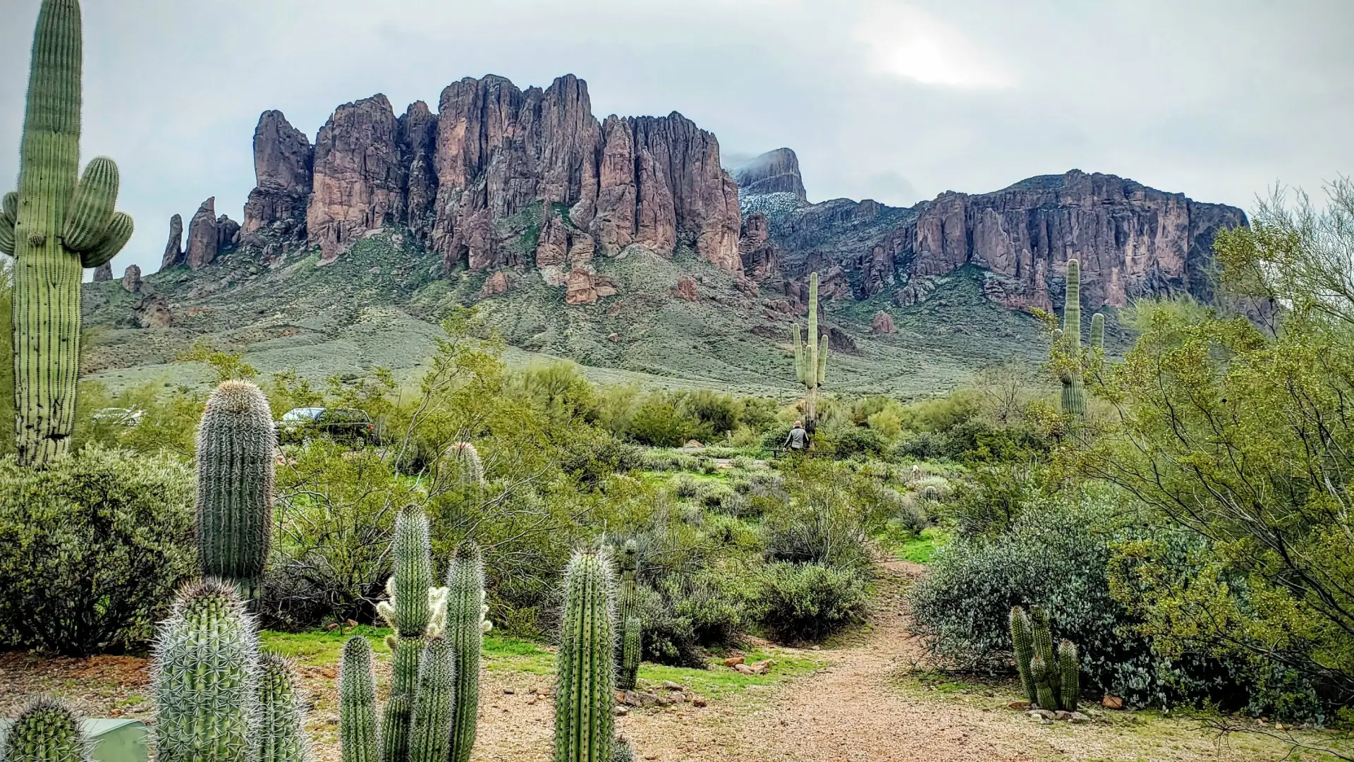 Uncover the Mysteries and Beauty of Lost Dutchman State Park: An Adventurer’s Paradise in Scottsdale, AZ