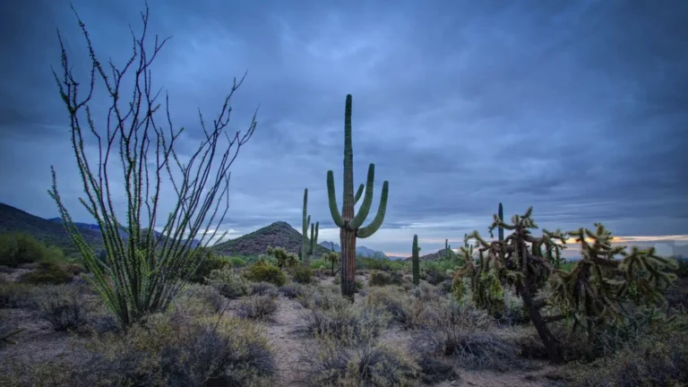 Mesa, AZ