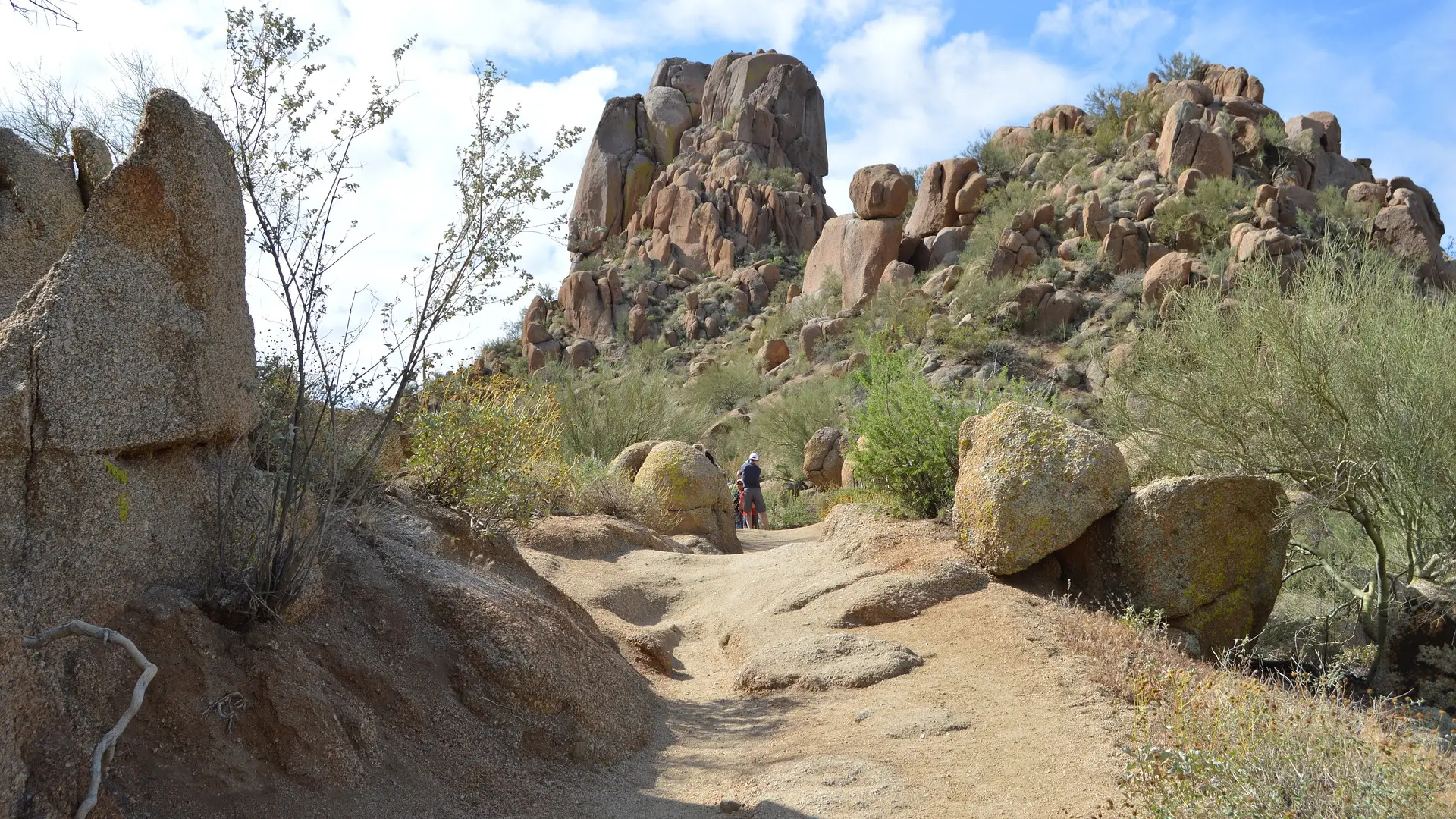 Experience Scenic Desert Hikes at Pinnacle Peak Park in North Scottsdale, AZ