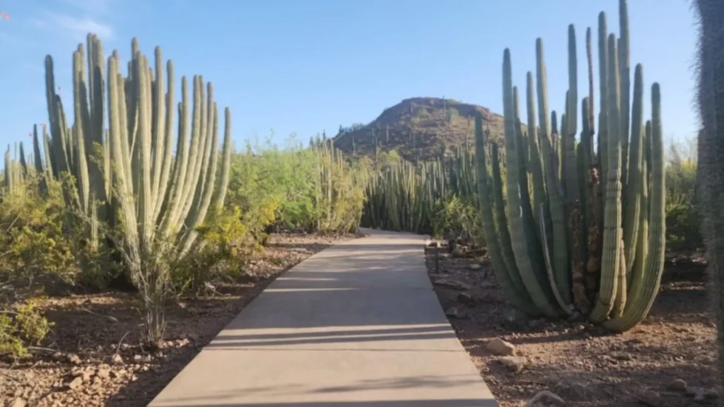 Scottsdale, AZ