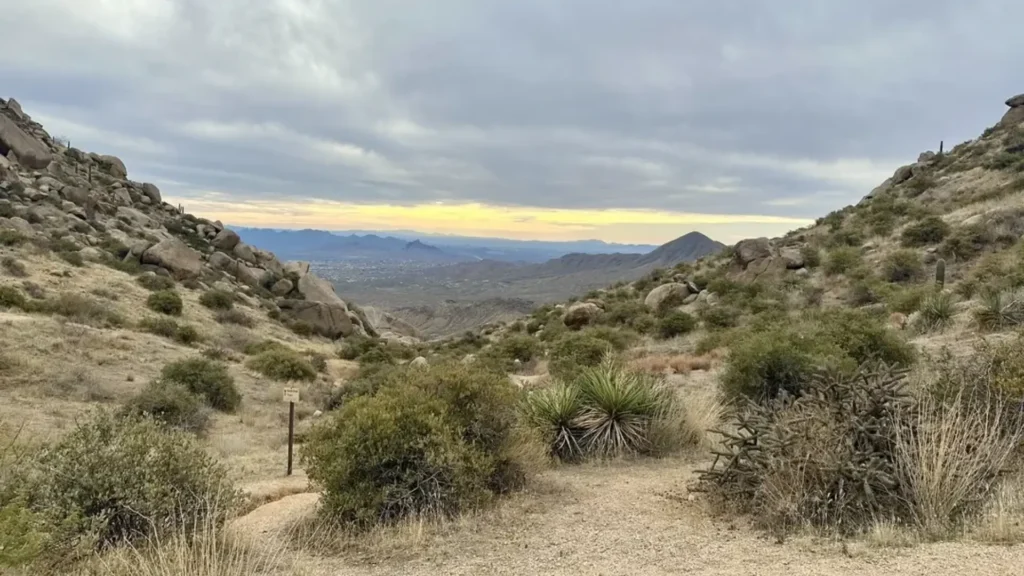 Scottsdale, AZ